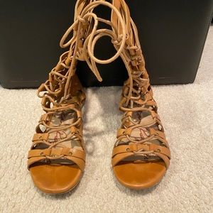 American Rag tall, burnt tan, gladiator sandals